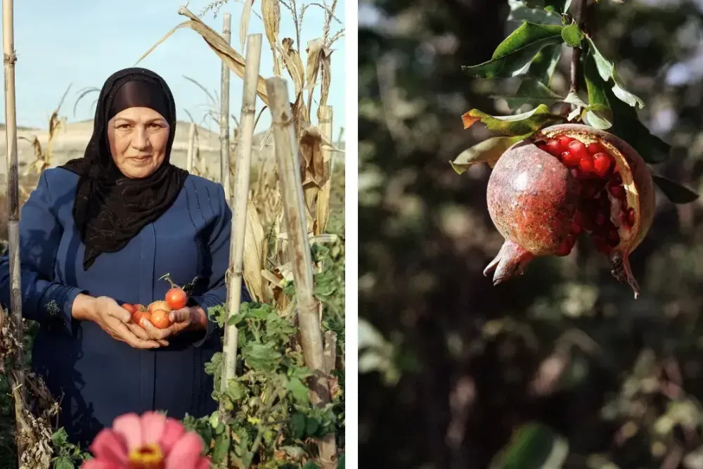 Woman holding tomatoes